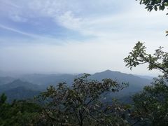 -六里坪国家森林公园