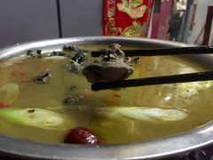 -陈三炖鸡馆(金众小区店)
