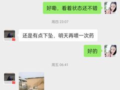 -波姐宠物家庭寄养
