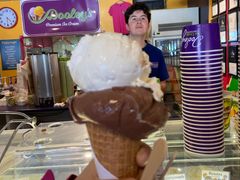 -Dooley's Premium Ice Cream