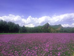 -乌龙峡谷景区