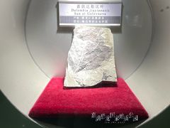 -汤旺河林海奇石景区