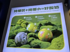 -吴山山·椰子酸奶(天河南店)