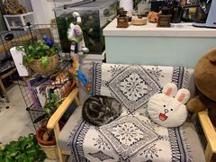 -平行世界·猫咖(首经贸店)
