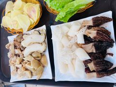 -蘑统田下·野生菌火锅