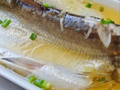 -京城小江南·北京烤鸭·江南土菜·白鱼(中关村店)