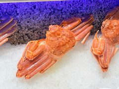 -初色海鲜自助(万丰路店)