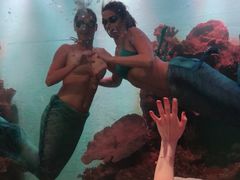 -瑞德姆美人鱼海底演艺主题餐厅(亚龙湾店)