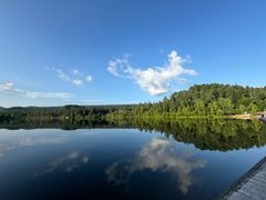 -五营红松林海景区