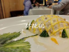 -丁老爷子苏香圆