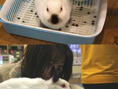 -藦茜花园宠物主题亲子互动体验馆(国顺东路店)