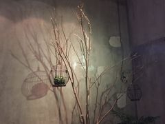 -蝴蝶汇音乐酒馆(罗湖店)