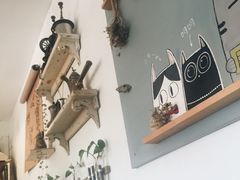 海边的猫和咖啡馆-海边的猫和咖啡馆