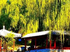 -北坞公园