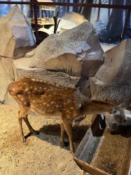 -酷嗒动物文化乐园(cutezoo西溪乐天城店)