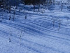 -长白山华美胜地滑雪场
