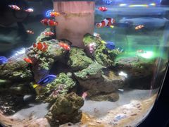 -洛阳龙门海洋馆