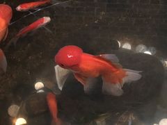 -荔湾博物馆