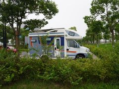 -春花秋色城市公园