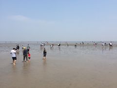 -南汇嘴观海公园