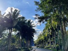 -海口观澜湖火山温泉谷