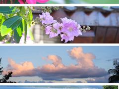 -三亚蜈支洲岛旅游区