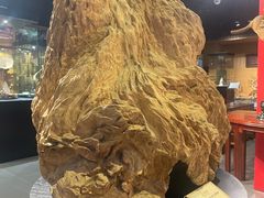 -香市公园-中国沉香文化博物馆