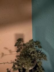 -香秀空间科技抗衰·美容中心