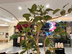 -南棠馆粤菜坊(群光店)