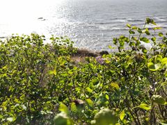 -辽宁团山国家级海洋公园