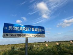 -盐城丹顶鹤湿地生态旅游区