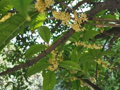 -汝州市汝瓷博物馆