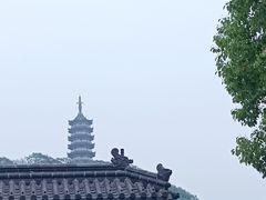 -焦山风景区