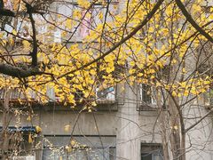 -马王庙刀削面馆(四川省交通学院宿舍店)