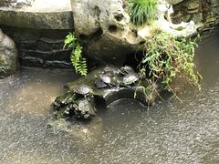 -普陀山风景名胜区-法雨禅寺