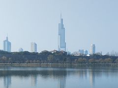 -紫峰大厦