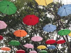 -深圳野生动物园
