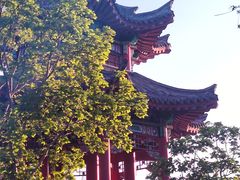 -老济南·地道济南菜(大明湖店)