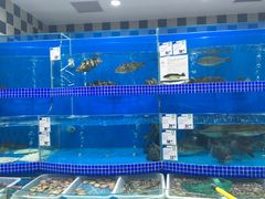 -新荟城(望京店)