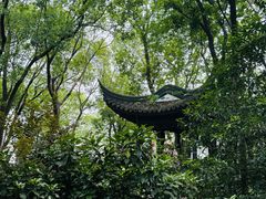 -上海佘山国家森林公园天马山园