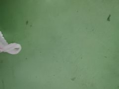 -上足·影院足道·SPA(红岭店)