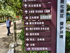 -风云岭森林公园