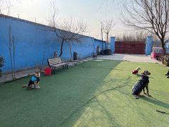 -宠物寄养训练学校