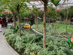 -南宫五洲植物乐园