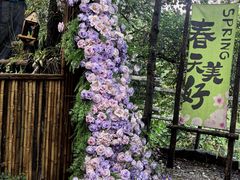 -沂蒙山旅游区云蒙景区(蒙山国家森林公园)