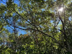 -白草畔自然风景区