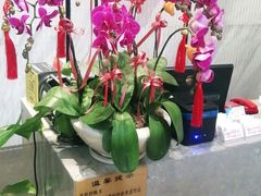 -润泽天·湘味家宴(岳麓山店)