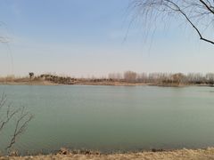 -东郊湿地公园
