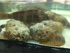 -沙田台山海鲜·酣客酒窖