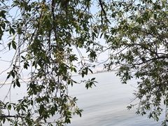 -西昌邛海湿地